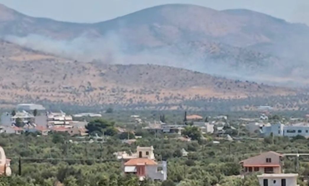 Φωτιά τώρα στα Μέγαρα – Καίει στο Πυργάρι
