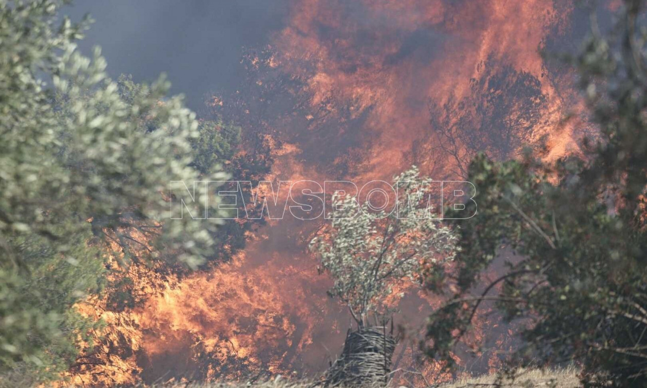 LIVE BLOG: Φωτιά στην Κερατέα – Δύσκολη μάχη με τις φλόγες και τους ισχυρούς ανέμους, μπαράζ 112