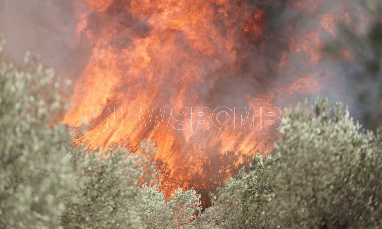 Καιρός: Στο «κόκκινο» οι πυρομετεωρολογικές συνθήκες – «Ασταμάτητες» οι φωτιές αν ξεσπάσουν