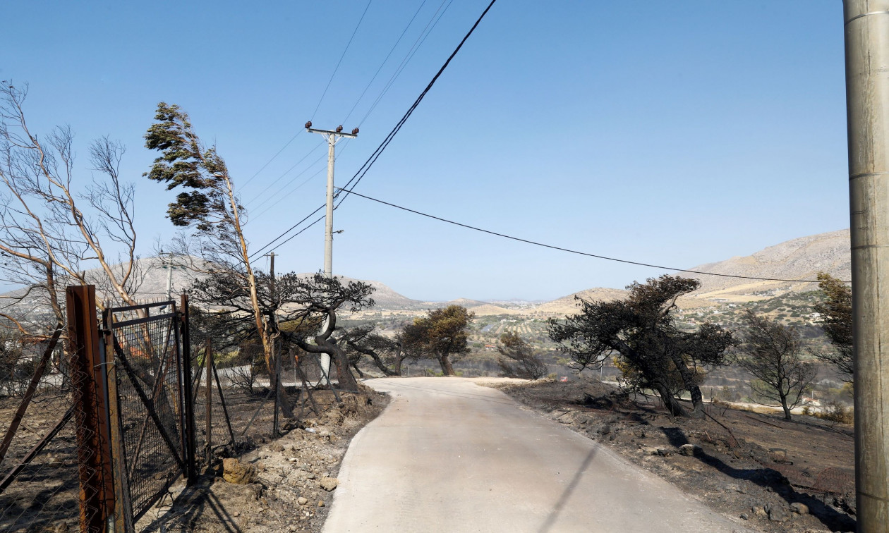 Ελεύθεροι αφέθηκαν οι υπάλληλοι του ΔΕΔΔΗΕ που συνελήφθησαν για τη φωτιά στην Κερατέα