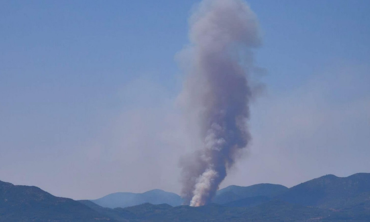 Φωτιά σε αγροτοδασική έκταση στα Πετράλωνα του Δήμου Μεσσήνης – Μήνυμα του 112