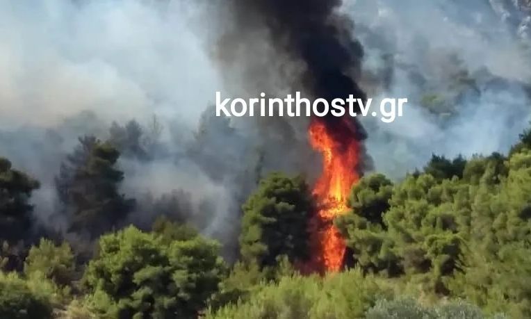 Δασική φωτιά στην Αρχαία Νεμέα, κοντά σε σπίτια