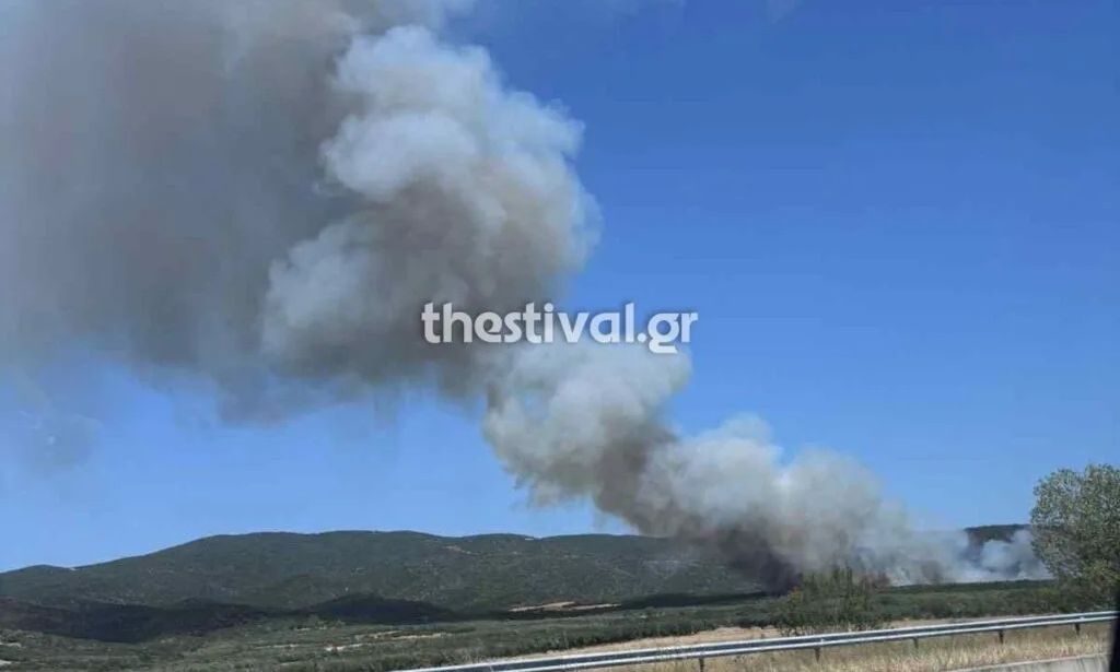 Φωτιά στη Βόλβη: Οι φλόγες έφτασαν στο Βαϊοχώρι – Σε ετοιμότητα για εκκένωση η δομή μεταναστών