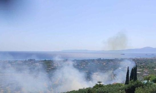 Καλαμάτα: Φωτιά στην περιοχή Ρίζα στα Αγριώματα – Απείλησε σπίτια