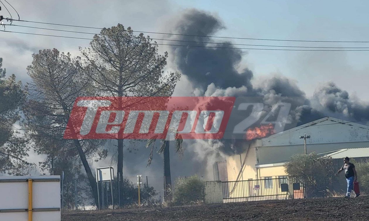 Φωτιά Αχαΐα: Εργοστάσιο στις φλόγες – Μαζικές εκκενώσεις δεκάδων οικισμών