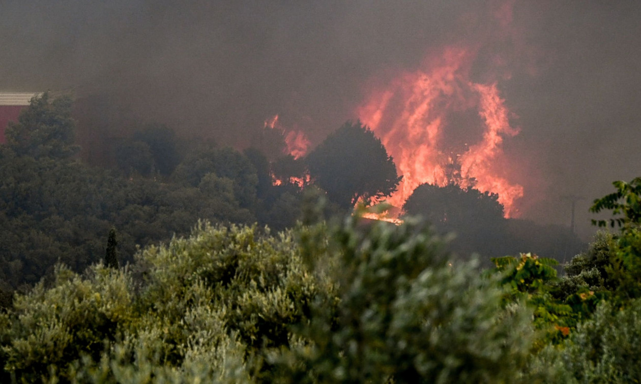 Φωτιά στη Βόλβη: Χωρίς ενεργό μέτωπο μετά τη νέα αναζωπύρωση χθες στο Βαγιοχώρι