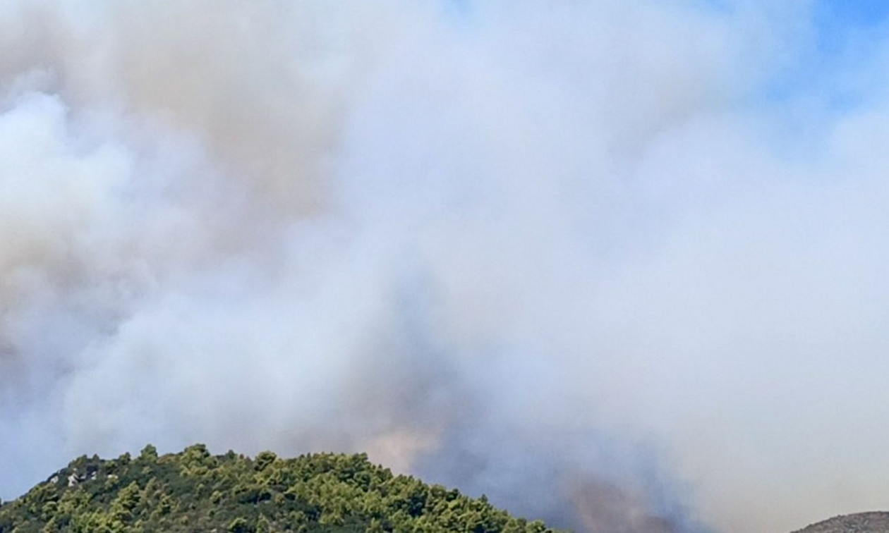 Φωτιά στη Ζάκυνθο – Μάχη με τις αναζωπυρώσεις