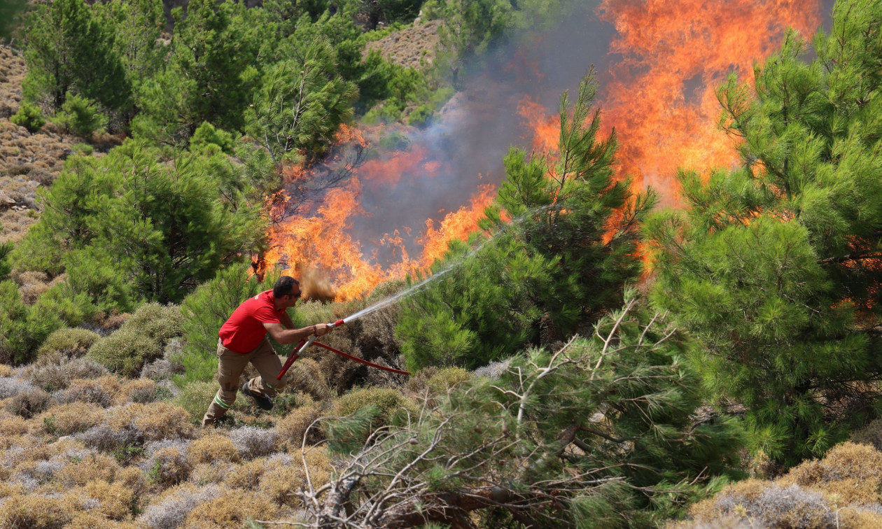 Φωτιά στην Χίο: Βελτιωμένη η εικόνα στο μέτωπο μετά την υποχώρηση των ανέμων