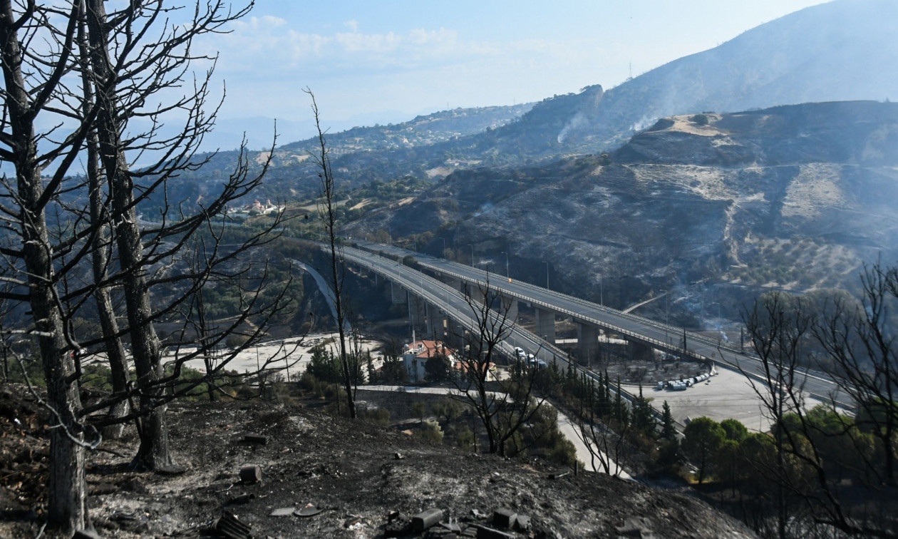 Φωτιά Αχαΐα: Εκτεταμένες ζημιές στην περιμετρική Πατρών – Κυκλοφοριακές ρυθμίσεις