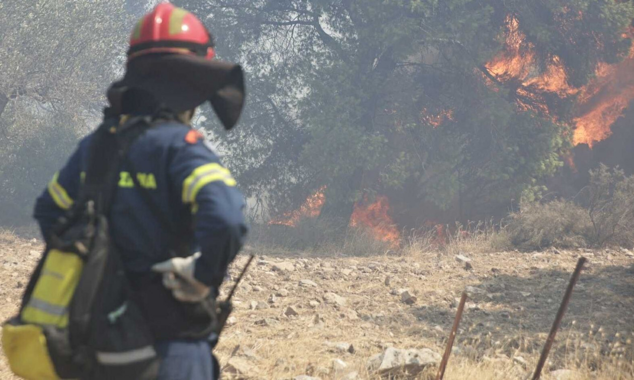 Πυρκαγιά σε εξέλιξη στο Μαλαπάσι Πύργου – Κοντά σε σπίτια οι φλόγες