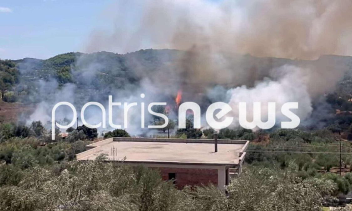Οριοθετήθηκε η πυρκαγιά στον Ελαιώνα Πύργου – Παραμένουν δυνάμεις της Πυροσβεστικής