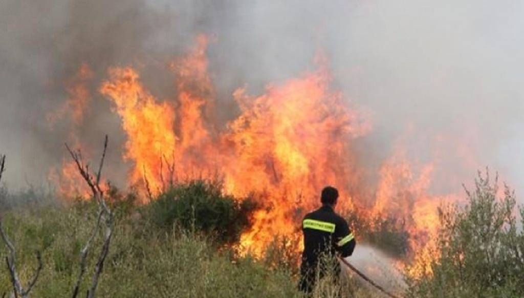 Φωτιά σε χαμηλή βλάστηση στην περιοχή Λάγια της Ανατολικής Μάνης