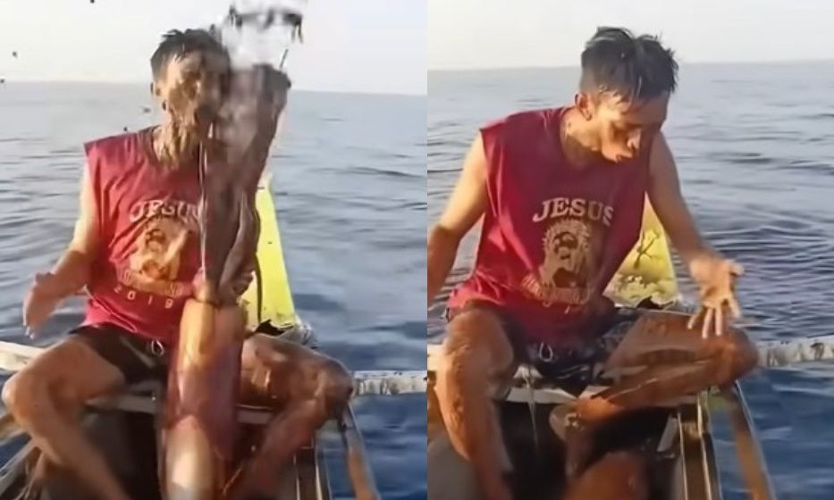Φιλιππίνες: Καλαμάρι «έλουσε» με μελάνι ψαρά και έγινε viral στα social media – Βίντεο