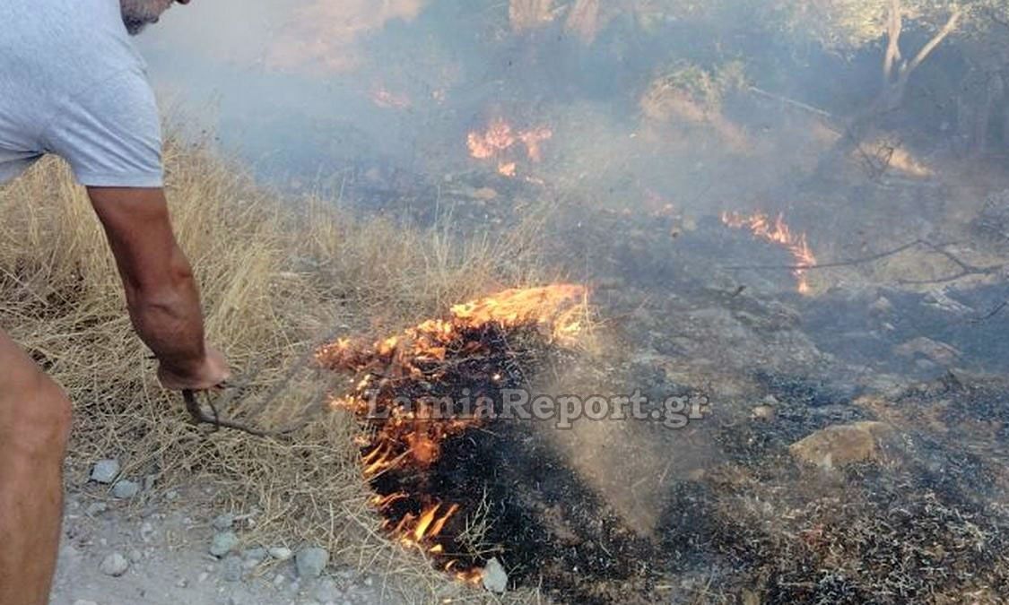 Φθιώτιδα: Φωτιά στην περιοχή Γλύφα – Στη μάχη και οι κάτοικοι με πυροσβεστήρες και κλαδιά