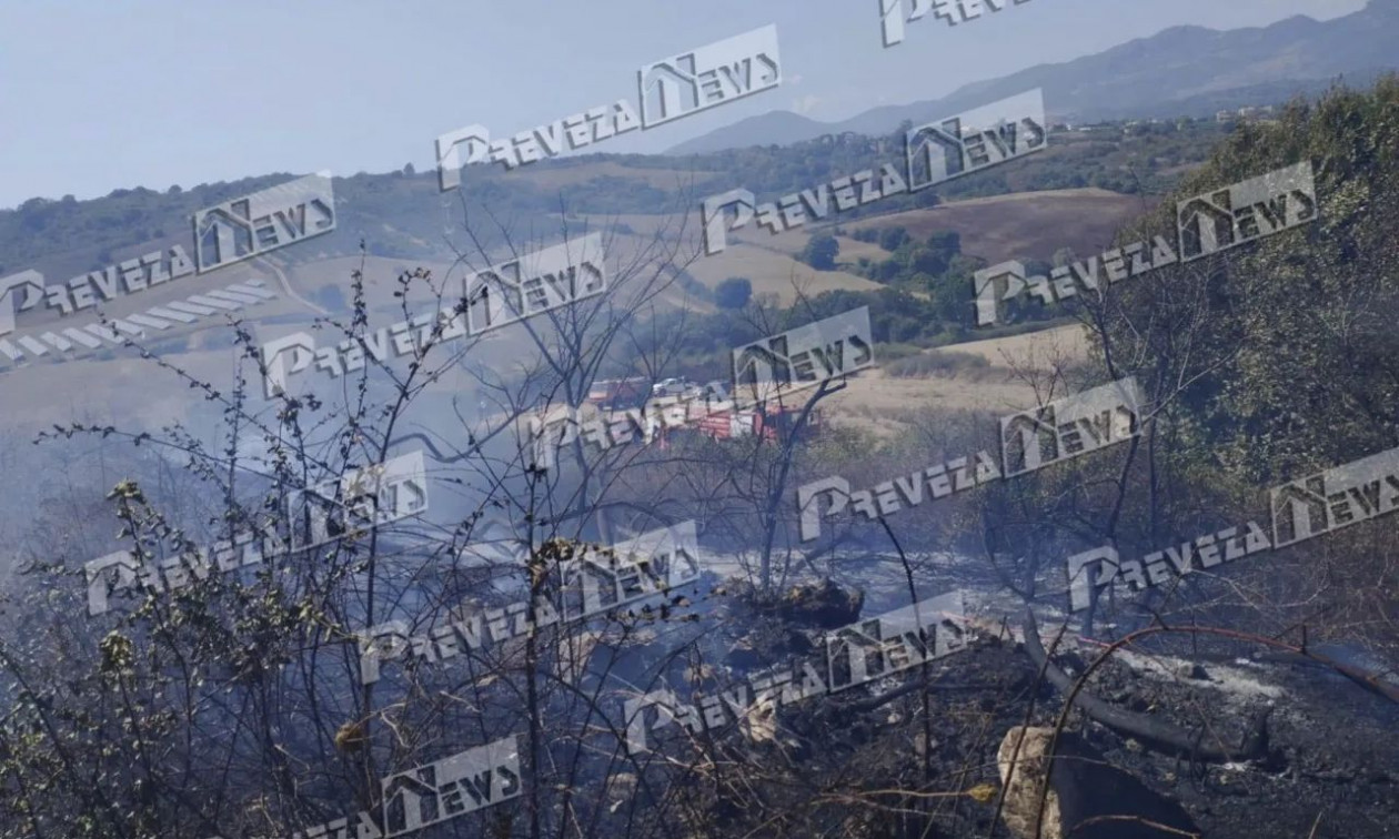 Φωτιά στην Πρέβεζα στην περιοχή Σινώπη – Επιχείρησαν εναέρια μέσα