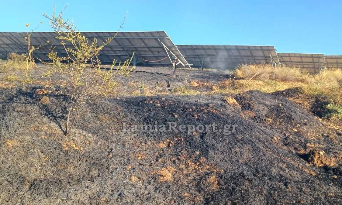 Λαμία: Φωτιά στον Άγιο Στέφανο Δομοκού κοντά σε φωτοβολταϊκά – Επιχειρούν εναέρια μέσα