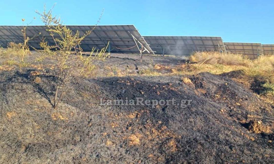 Δομοκός: Καίει σε φωτοβολταϊκό πάρκο η φωτιά στον Άγιο Στέφανο – Σηκώθηκαν 3 εναέρια μέσα