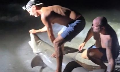 Η τρομακτική στιγμή που ψαράς βγάζει φωτογραφία με καρχαρία και εκείνος τον… δαγκώνει – Βίντεο