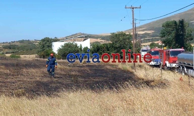 Εύβοια: Έξι ανήλικα παιδιά στο μικροσκόπιο των αρχών για εμπρησμούς