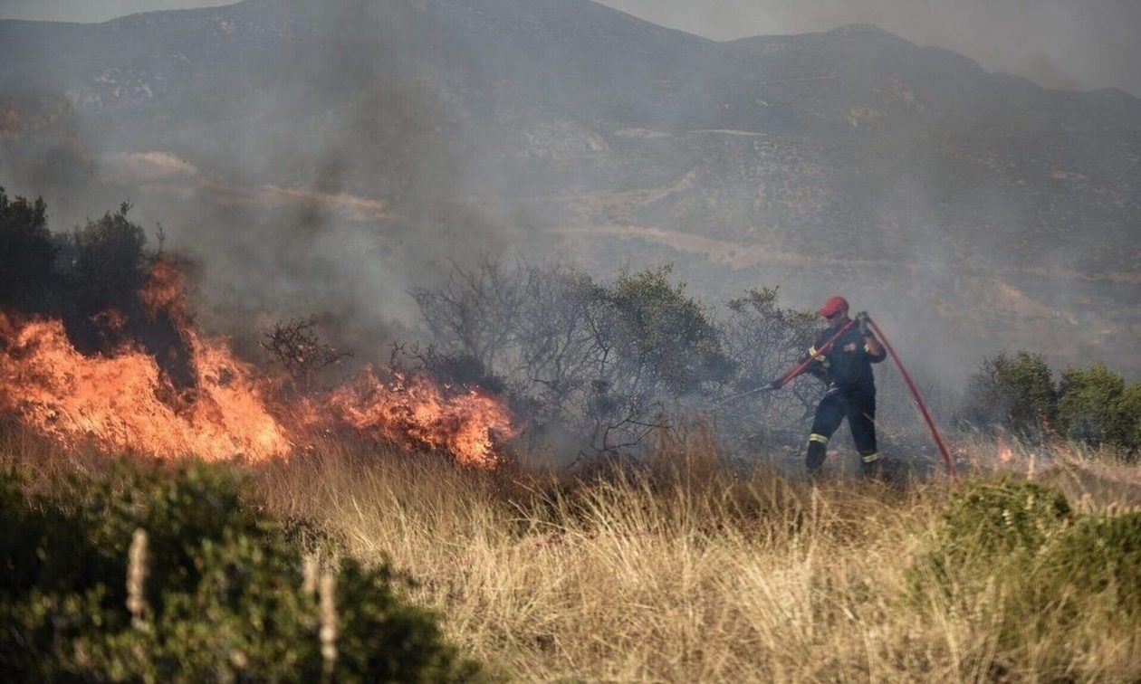Φωτιά τώρα στην Αγορά Θεσπρωτίας – Σηκώθηκαν εναέρια μέσα