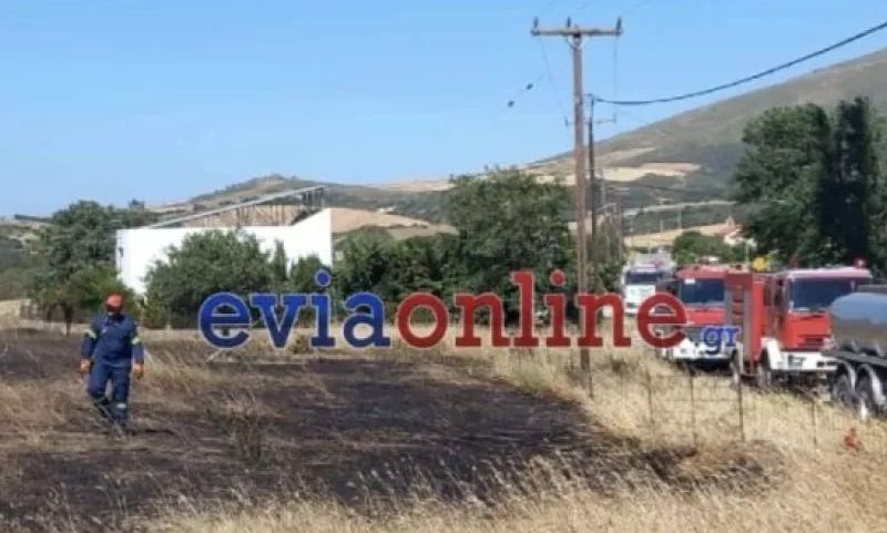 Εύβοια: Νέα έρευνα για 6 έφηβους – Εξετάζεται η συμμετοχή τους σε πυρκαγιές