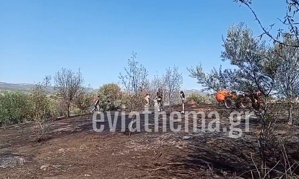 Χαλκίδα: Ανήλικος προκάλεσε πυρκαγιά παίζοντας – Τον βρήκαν δίπλα στις φλόγες