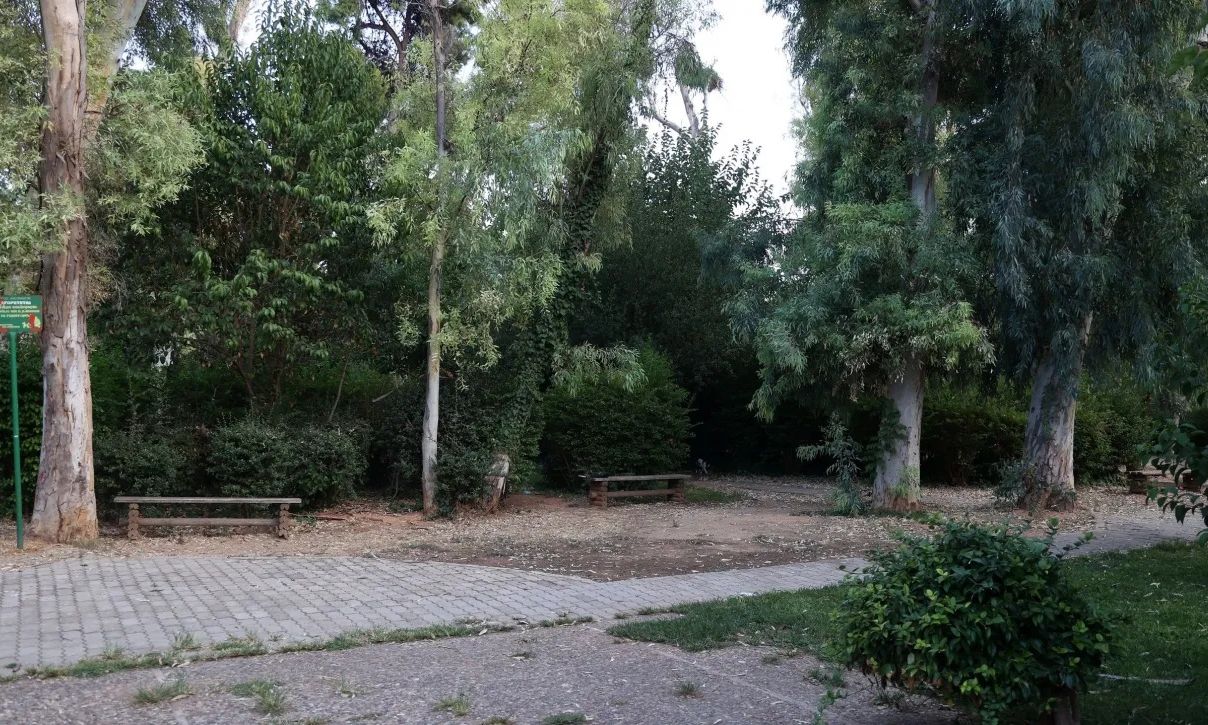 Ο Δήμος Αθηναίων κατηγορεί τους… προηγούμενους για τα νεκρά ζώα στο Άλσος Χωροφυλακής