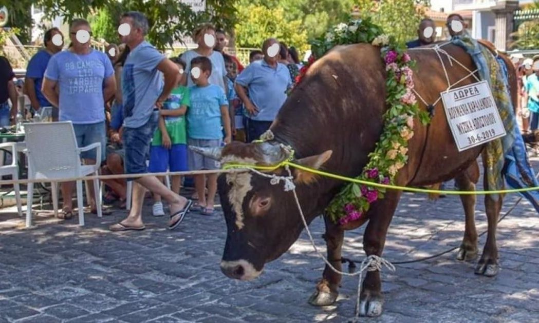 Διαμαρτυρία των φιλόζωων για το Halal – «Οχι σφαγές χωρίς αναισθησία»