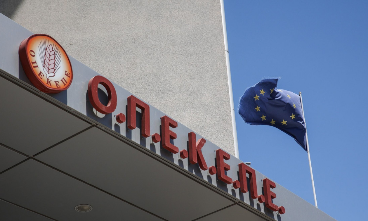 ΟΠΕΚΕΠΕ: Οι ανακοινώσεις Χρυσοχοΐδη για τα πρώτα αποτελέσματα των ερευνών