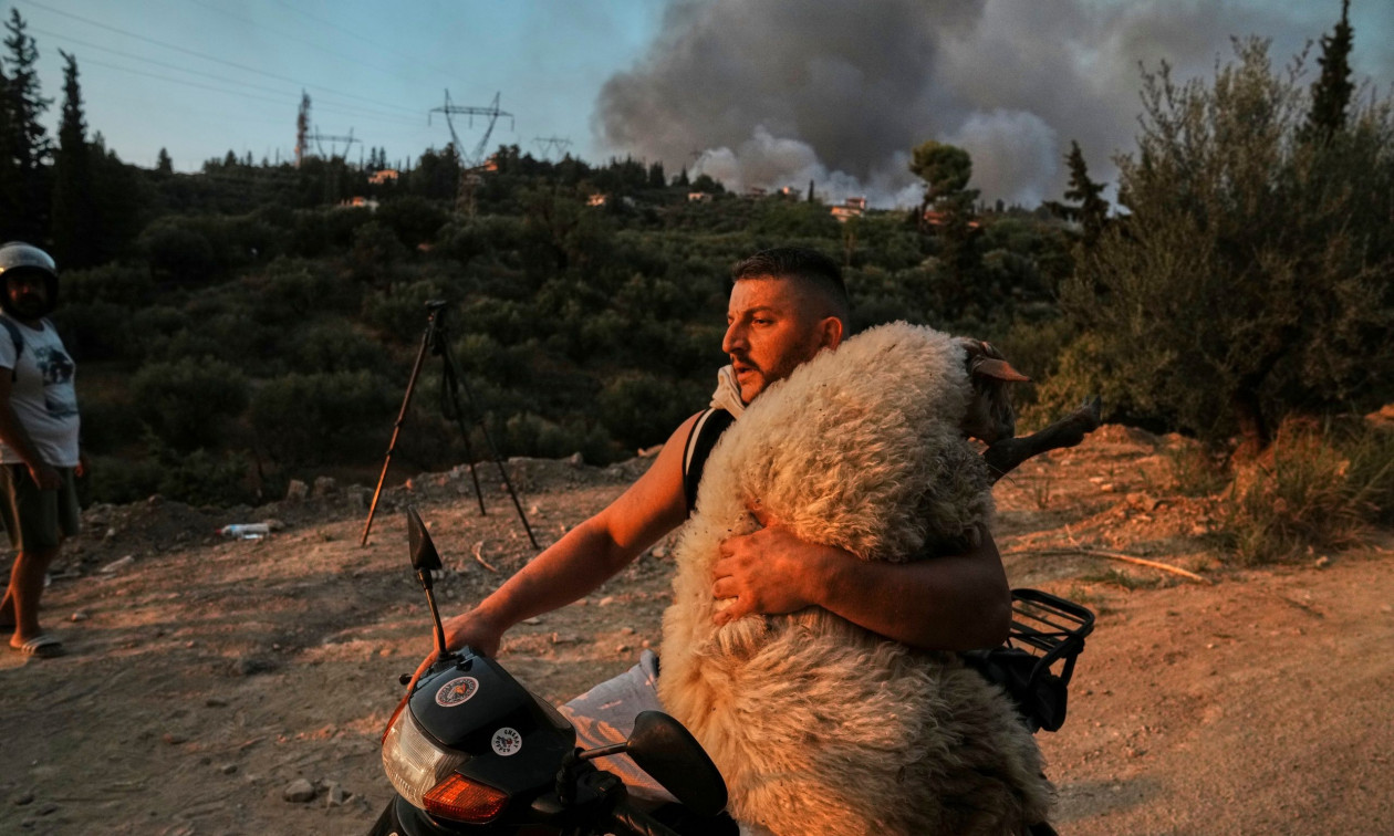 BBC: «Ο καλός ποιμένας» της Πάτρας από τις πιο εμβληματικές φωτογραφίες του 2025