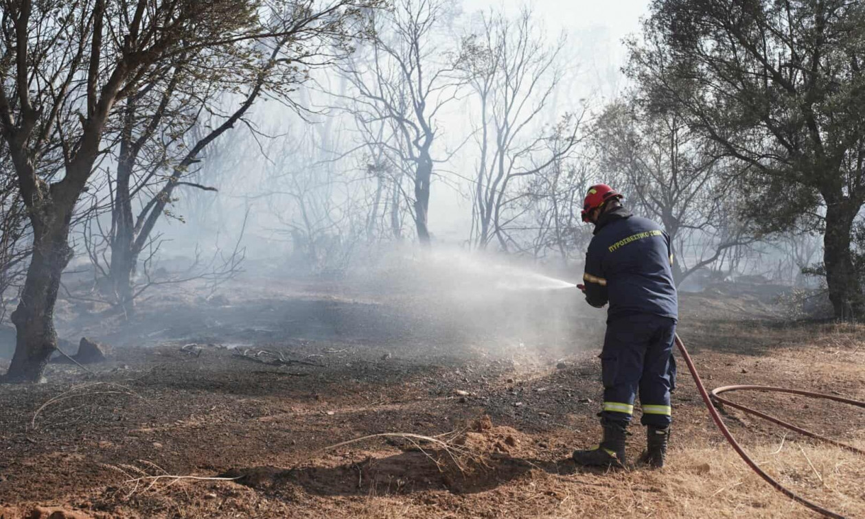 Θεσσαλονίκη: Υπό πλήρη έλεγχο τέθηκε η φωτιά στο Πλαγιάρι
