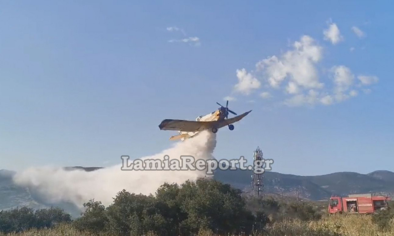 Φωτιά στη Μεγάλη Βρύση Λαμίας: Άμεση επέμβαση επίγειων και εναέριων δυνάμεων