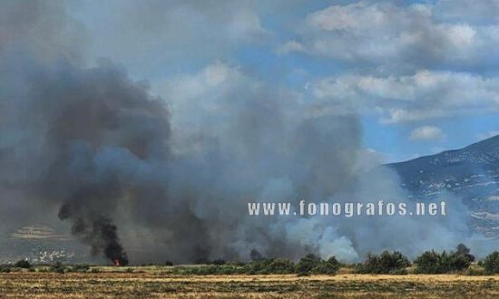 Λαμία: Φωτιά στη Ροδίτσα – Πυκνοί καπνοί πάνω από την πόλη