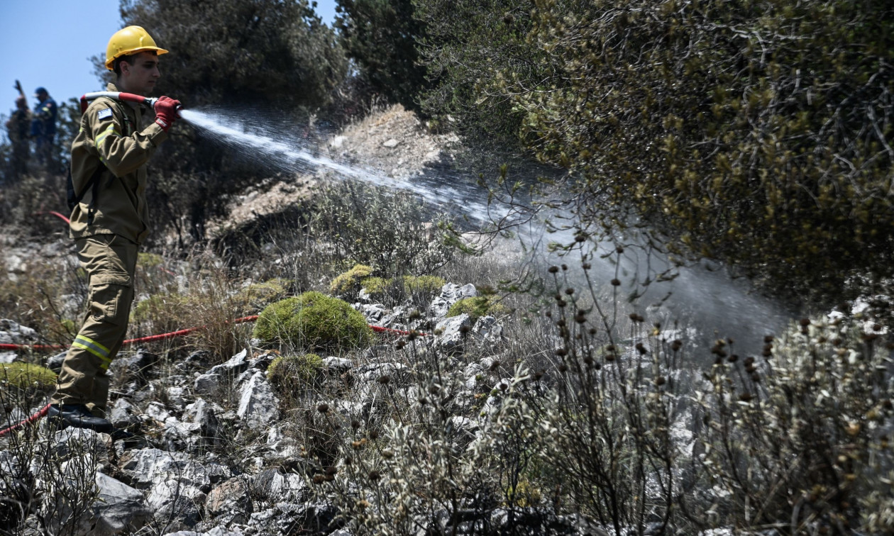 Φωτιά τώρα στο Καματερό – Επιχειρούν και εναέρια μέσα