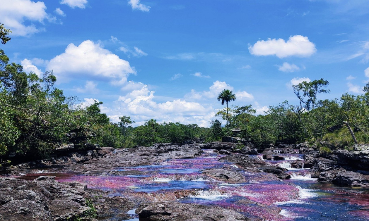 Κολομβία – Cano Cristales: Το Ποτάμι των 5 Χρωμάτων – Γιατί συμβαίνει το υγρό ουράνιο τόξο