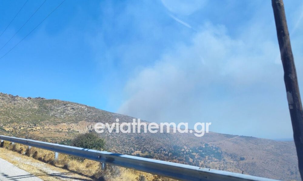 Φωτιά τώρα στην Κάρυστο – Καίει σε αγροτική περιοχή, επιχειρούν και εναέρια μέσα