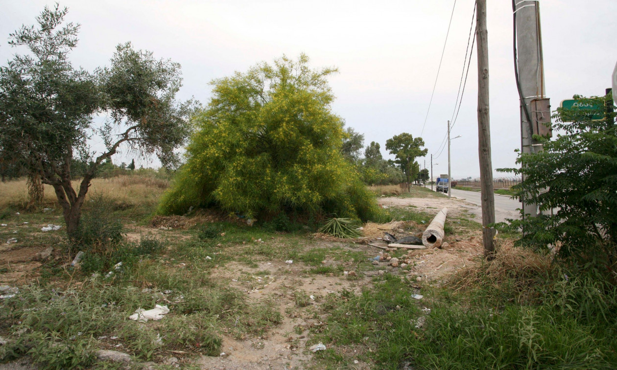 «Τυφλά» οικόπεδα: Πώς να αποφύγετε προστριβές με γείτονες – Πλήρης οδηγός