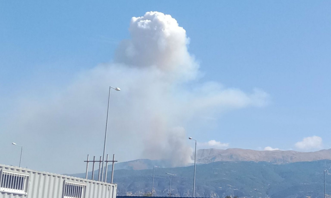 Φωτιά στο Καστρίτσι Αχαΐας: Στη «μάχη» 40 πυροσβέστες και πέντε εναέρια – Δείτε βίντεο