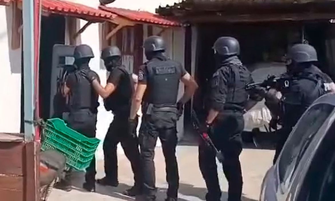 Πάνοπλοι αστυνομικοί συνέλαβαν 62χρονο για παράνομη υλοτομία στη Βόλβη – Κατηγορείται για κακούργημα