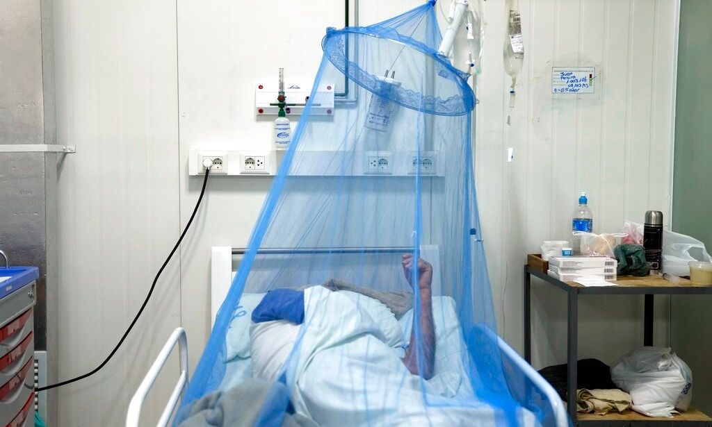 Ανησυχητική εξάπλωση του ιού chikungunya: Έφτασε στη Νέα Υόρκη, μετά τον πανικό στην Κίνα