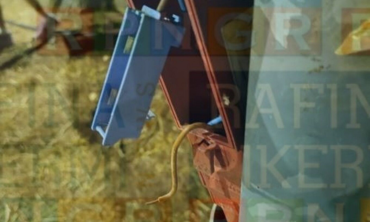 Αρτέμιδα: Συναγερμός σε παιδική χαρά – 9χρονη υπέστη ηλεκτροπληξία