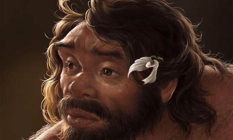 Ένα κρανίο ηλικίας 1 εκατομμυρίου ετών μπορεί να «ξαναγράψει» την ιστορία της εξέλιξης του ανθρώπου