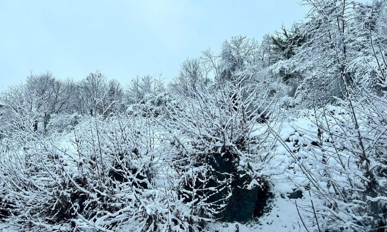 Ανησυχία για μία νέα πολική δίνη πάνω από τον Βόρειο Πόλο – Προάγγελος βαρυχειμωνιάς σε Ευρώπη – ΗΠΑ