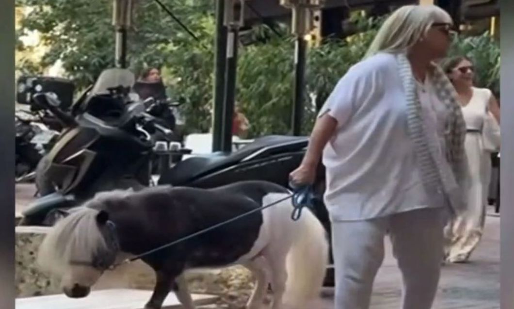 Λύθηκε το μυστήριο με τη γυναίκα που έβγαλε βόλτα το πόνυ της με λουρί – Τι λέει η ίδια στο Newsbo