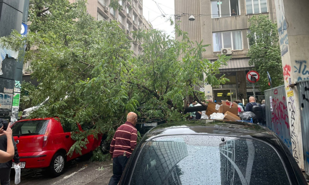 Ατύχημα στην Αθήνα από τη νεροποντή: Ξεριζώθηκε δέντρο και τραυμάτισε περαστικό