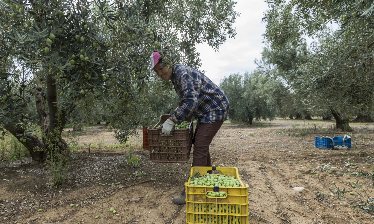 Χωρίς σύνταξη 300.000 ελεύθεροι επαγγελματίες και αγρότες λόγω χρέους προς τον e-ΕΦΚΑ