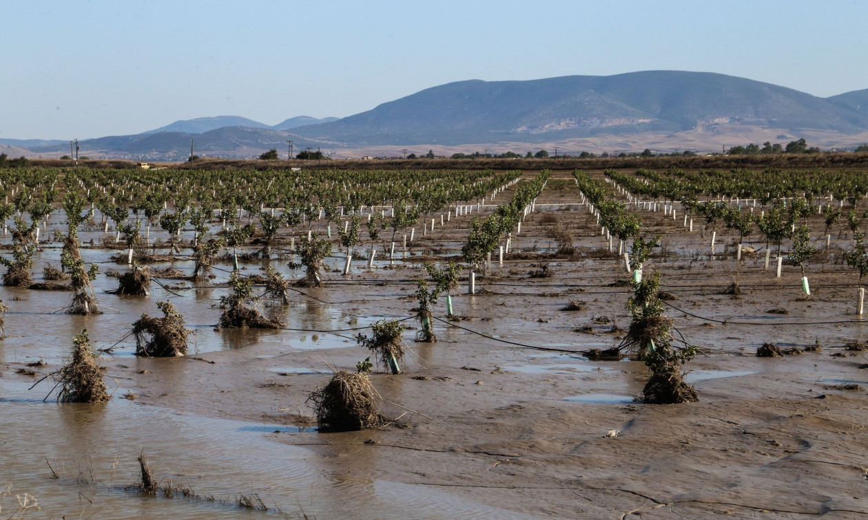 Μαγνησία: Ο ΕΛΓΑ ζητά πίσω τις προκαταβολές αποζημιώσεων πληγέντων από τον Ντάνιελ και τις φωτιές