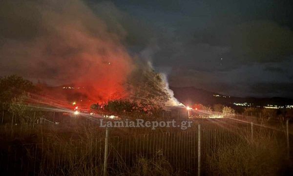 Φωτιά σε αποθήκη στη Μακρακώμη της Φθιώτιδας – Δείτε φωτογραφίες