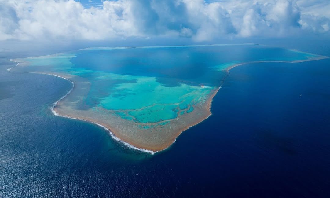 Μεγάλη οικολογική ανάκαμψη στα Νησιά Μάρσαλ μετά την εξάλειψη μαύρων αρουραίων