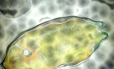 Τα «αφυπνισμένα» μικρόβια του μόνιμου πάγου θα μπορούσαν να επιταχύνουν την υπερθέρμανση του πλανήτη